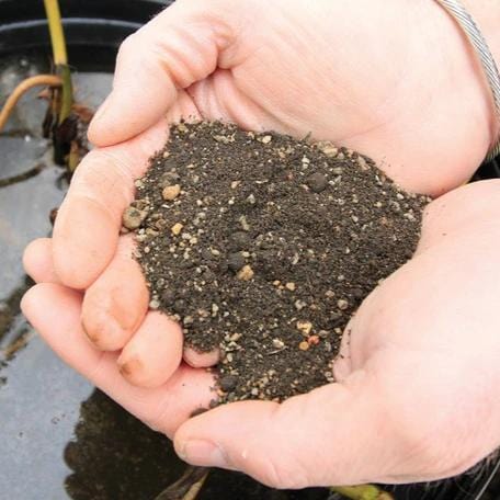 Pond Planting Media 10lb