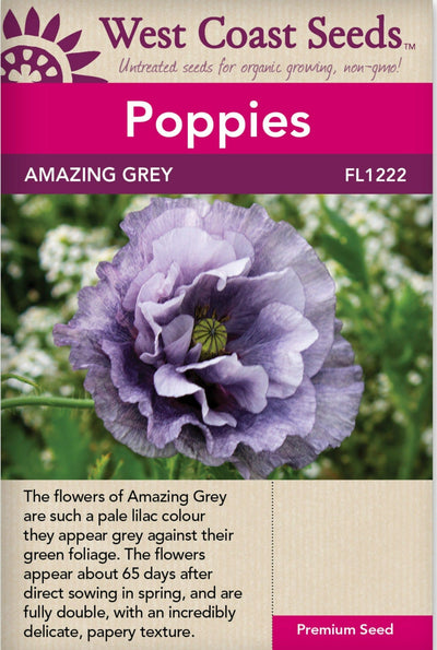 Poppy Amazing Grey - West Coast Seeds