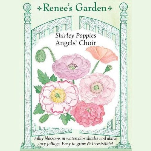 Poppy Angels' Choir - Renee's Garden Seeds