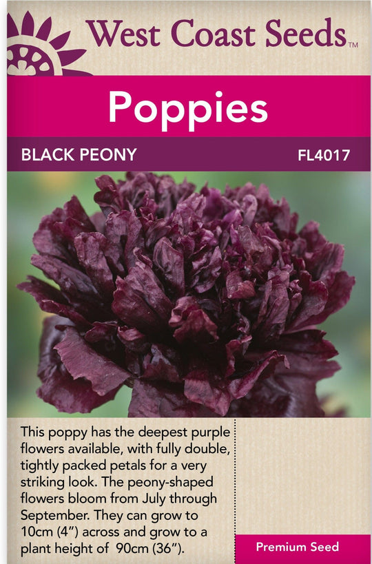 Poppy Black Peony - West Coast Seeds