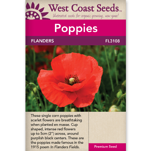 Poppy Flanders - West Coast Seeds