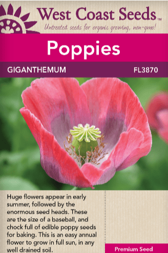 Poppy Giganthemum - West Coast Seeds
