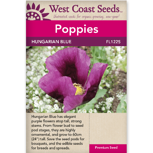 Poppies Hungarian Blue - West Coast Seeds