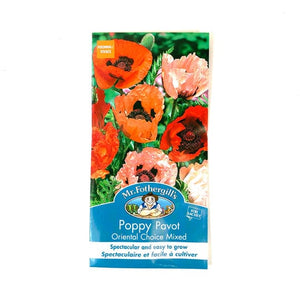 Poppy Oriental Choice Mix - Mr. Fothergill's Seeds