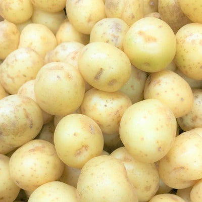 Potato - Bintje Yellow, 2kg Mesh Bag