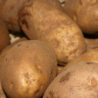 Potato - Burbank Russet, 2kg Mesh Bag