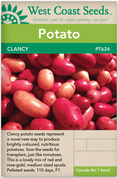 Potato Clancy - West Coast Seeds