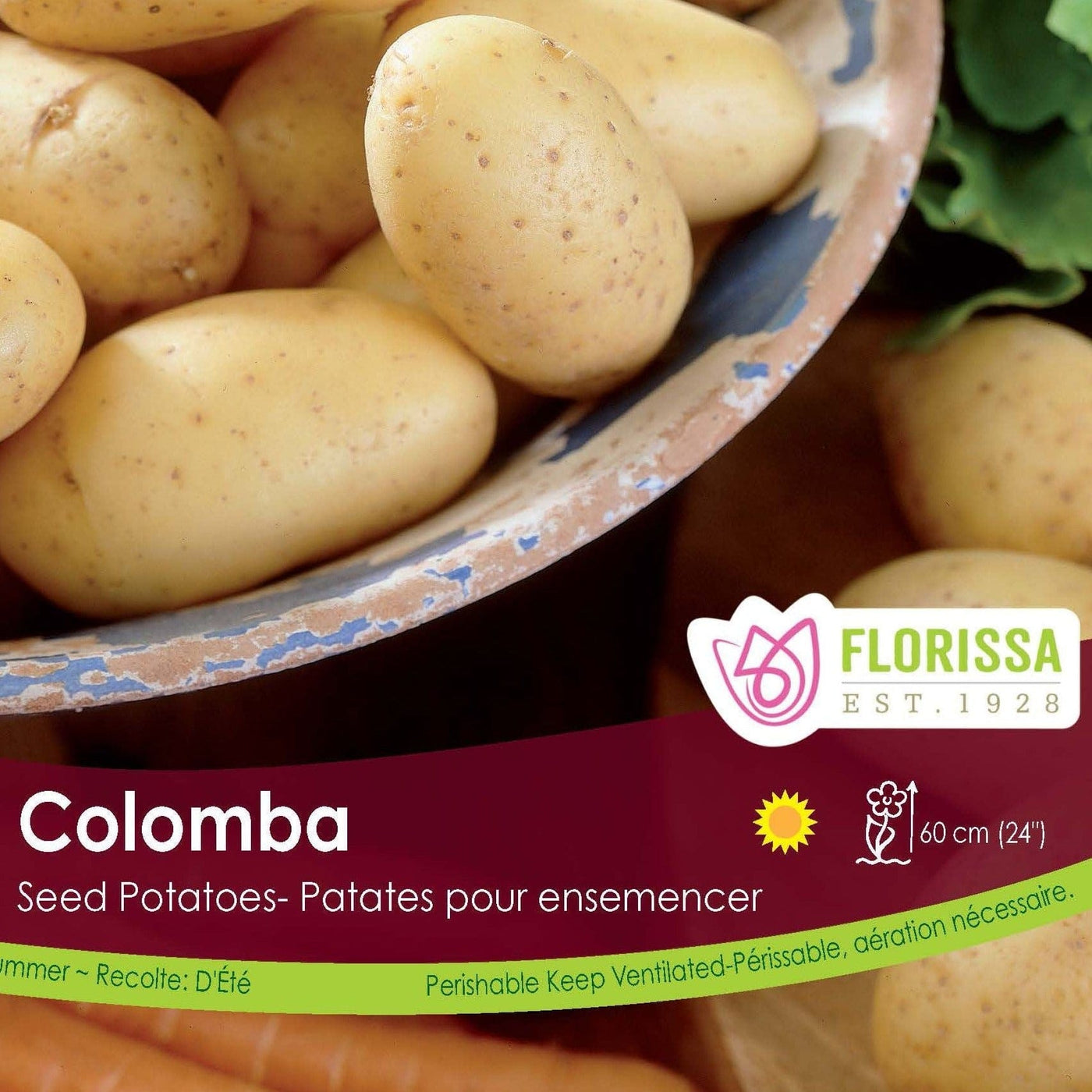 Potato - Colomba, 2kg Mesh Bag
