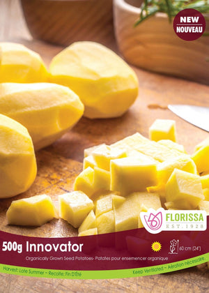 Potato - Innovator, 500g