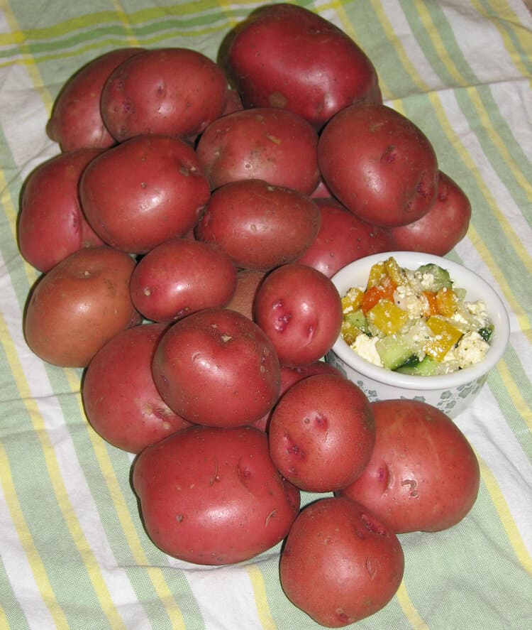 Potato - Cristina, 2kg Mesh Bag