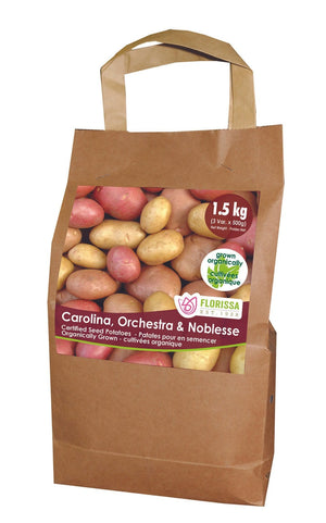Potatoes - Combo Sack Organic, 1.5 kg