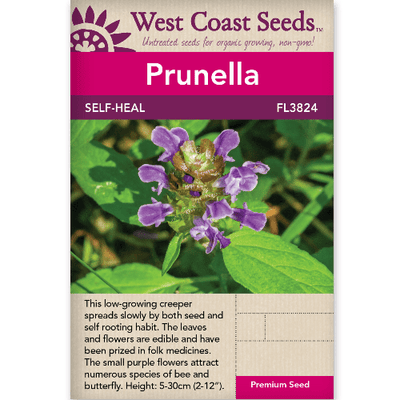 Prunella Self-Heal - West Coast Seeds