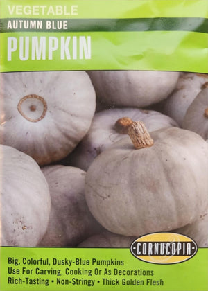 Pumpkin Autumn Blue - Cornucopia Seeds