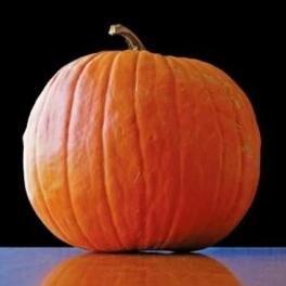 Pumpkin Big Max - Aimer's Organic Seeds