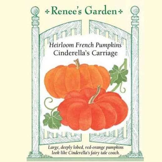 Pumpkin Cinderella's Carriage - Renee's Garden Seeds