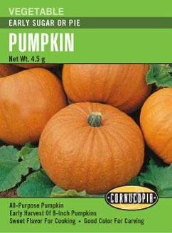 Pumpkin Early Sugar or Pie - Cornucopia Seeds