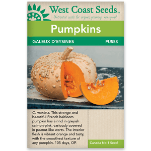 Pumpkin Galeux D'Eysines - West Coast Seeds
