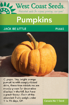Pumpkins Jack Be Little - West Coast Seeds