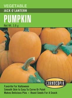 Pumpkin Jack O'Lantern - Cornucopia Seeds