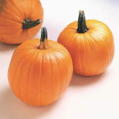 Pumpkin Jack O'Lantern - McKenzie Seeds