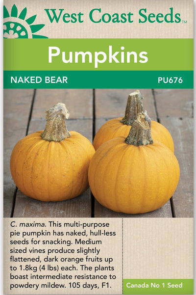 Pumpkin Naked Bear - West Coast Seeds