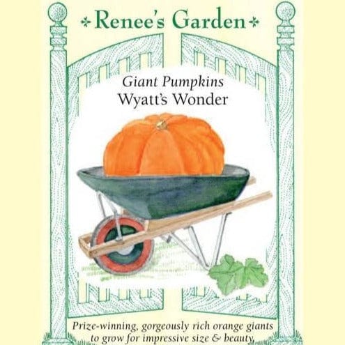 Pumpkin Wyatt's Wonder - Renee's Garden Seeds