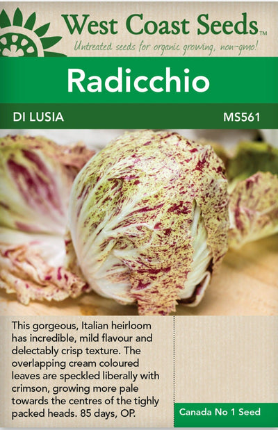 Radicchio Di Lusia - West Coast Seeds