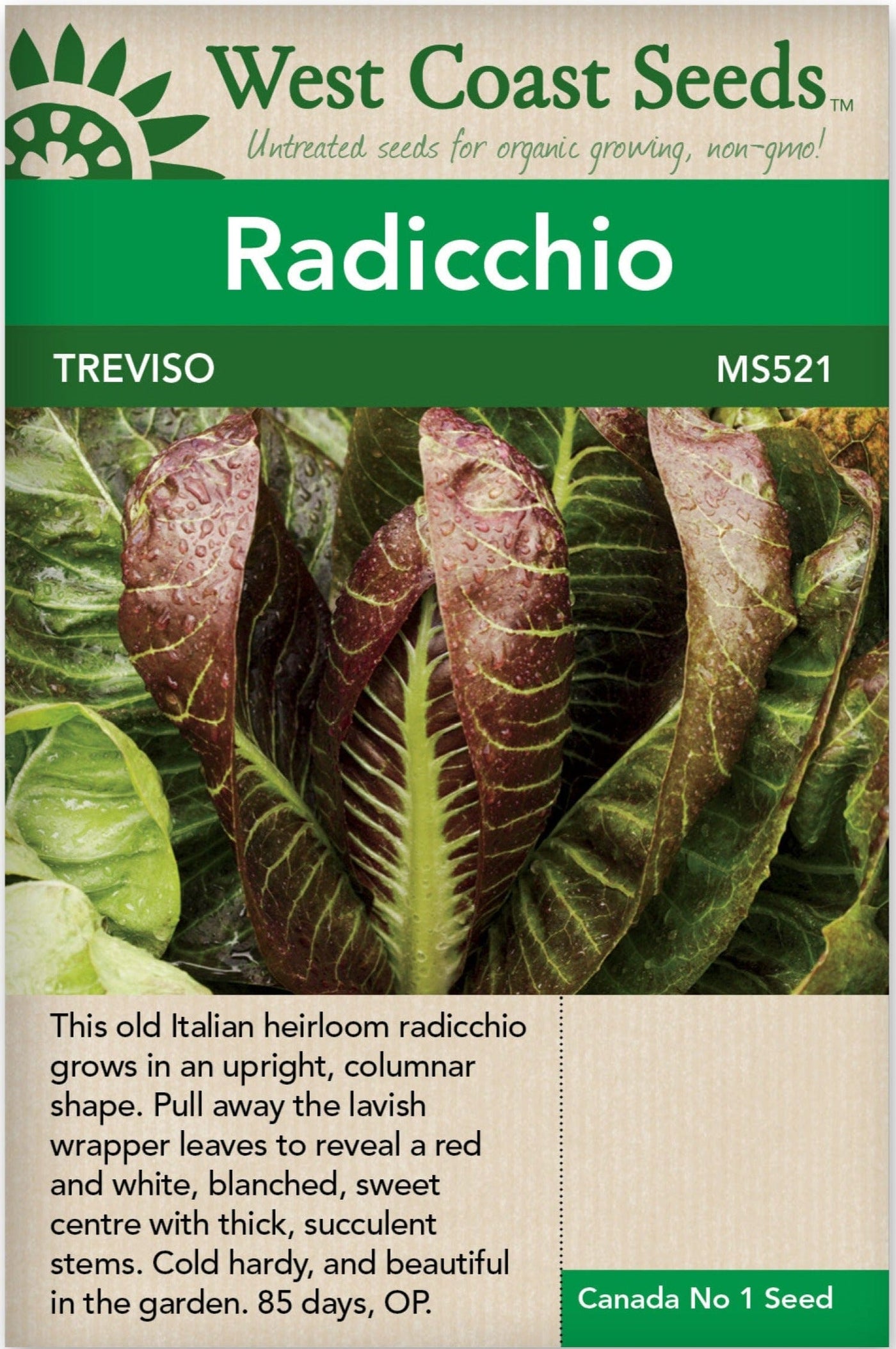 Radicchio di Treviso - West Coast Seeds
