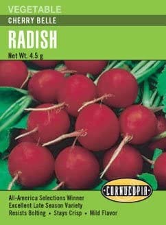 Radish Cherry Belle - Cornucopia Seeds