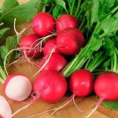 Radishes Crimson Crunch - Renee's Garden