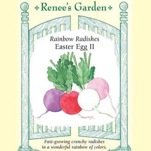 Radish Easter Egg II - Renee's Garden Seeds