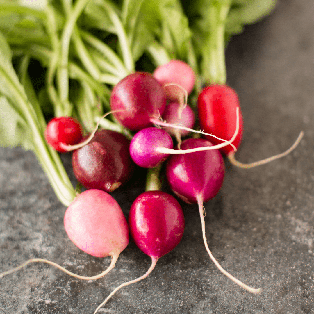 Radish Easter Egg - Ontario Seed Company