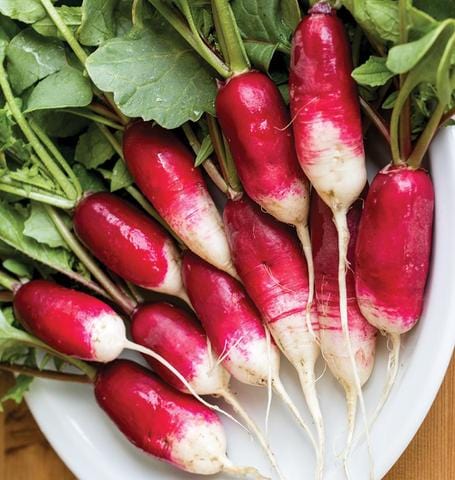 Radish French Breakfast - West Coast Seeds