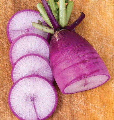 Radish Mini Purple - West Coast Seeds