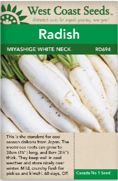 Radish Miyashige White Neck - West Coast Seeds