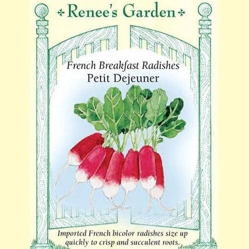 Radish Petit Dejeuner - Renee's Garden Seeds