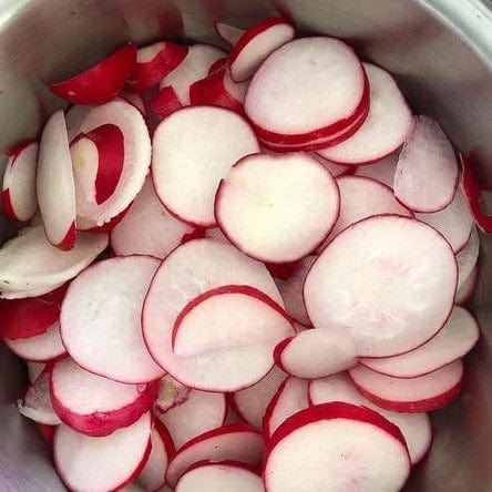 Radish Rivoil - West Coast Seeds