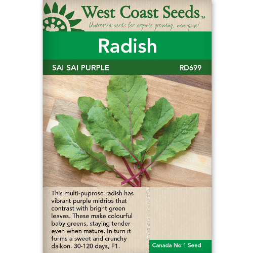 Radish Saisai Purple - West Coast Seeds