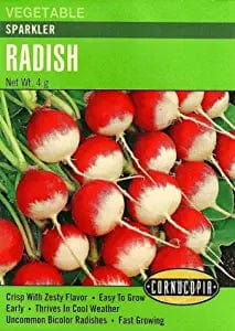 Radish Sparkler - Cornucopia Seeds