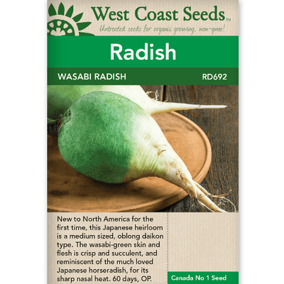 Radish Wasabi - West Coast Seeds