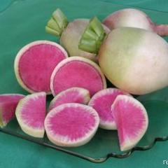 Radishes Watermelon - Renee's Garden