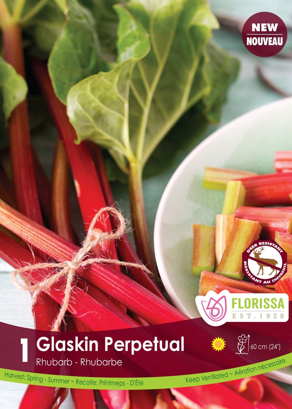 Rhubarb - Gaskin Perpetual