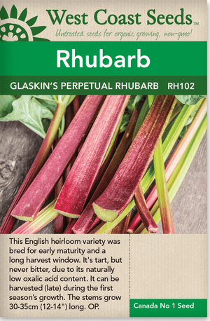 Rhubarb Glaskin's Perpetual - West Coast Seeds