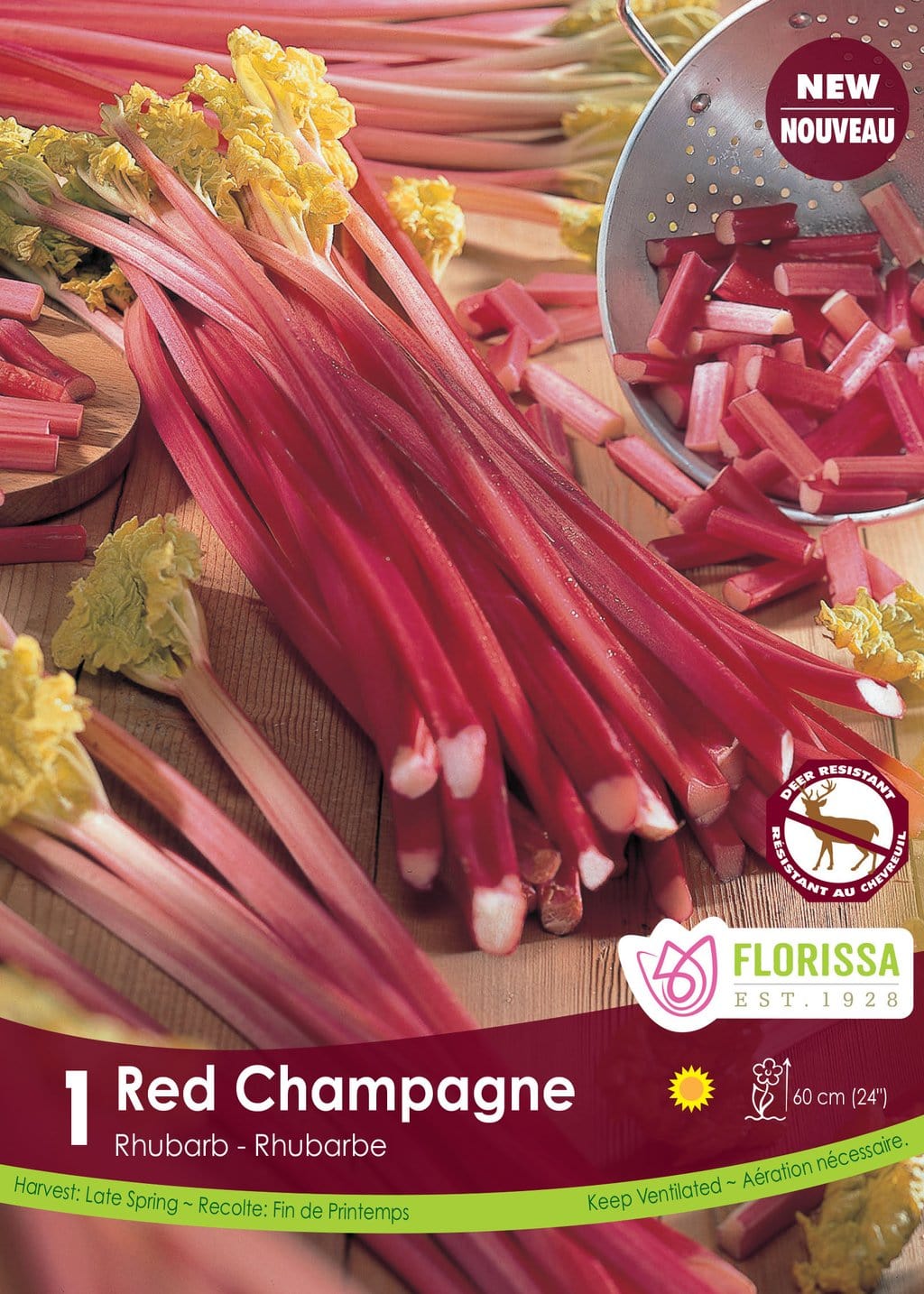 Rhubarb - Red Champagne