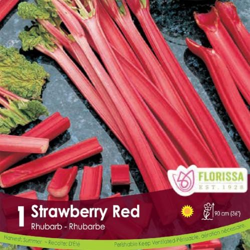 Rhubarb Strawberry Red