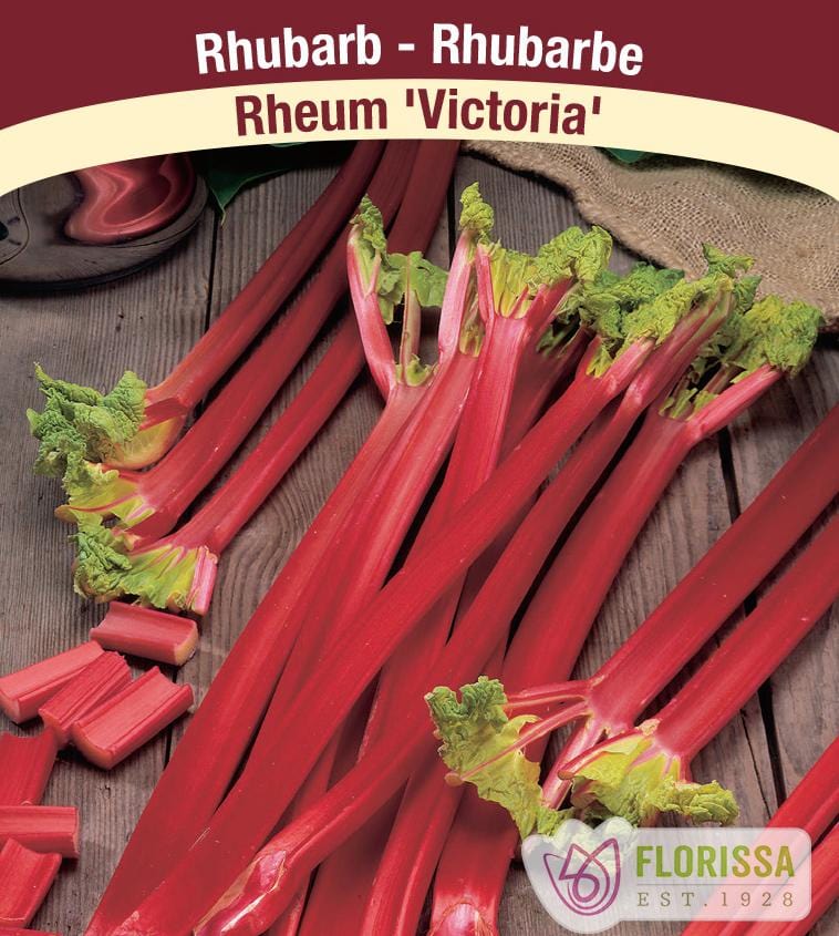 Rhubarb - Victoria