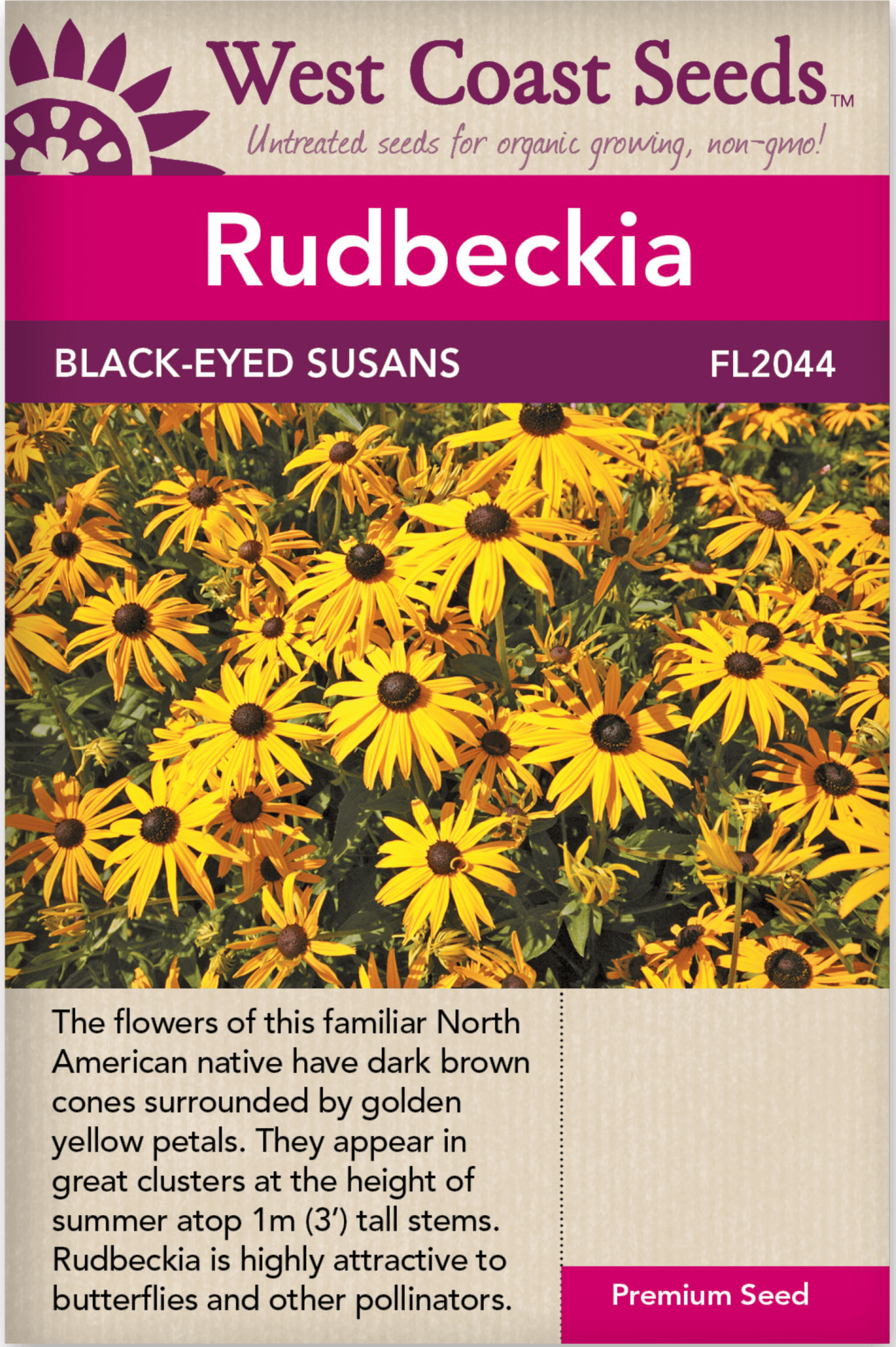Rudbeckia Black Eyed Susan - West Coast Seeds