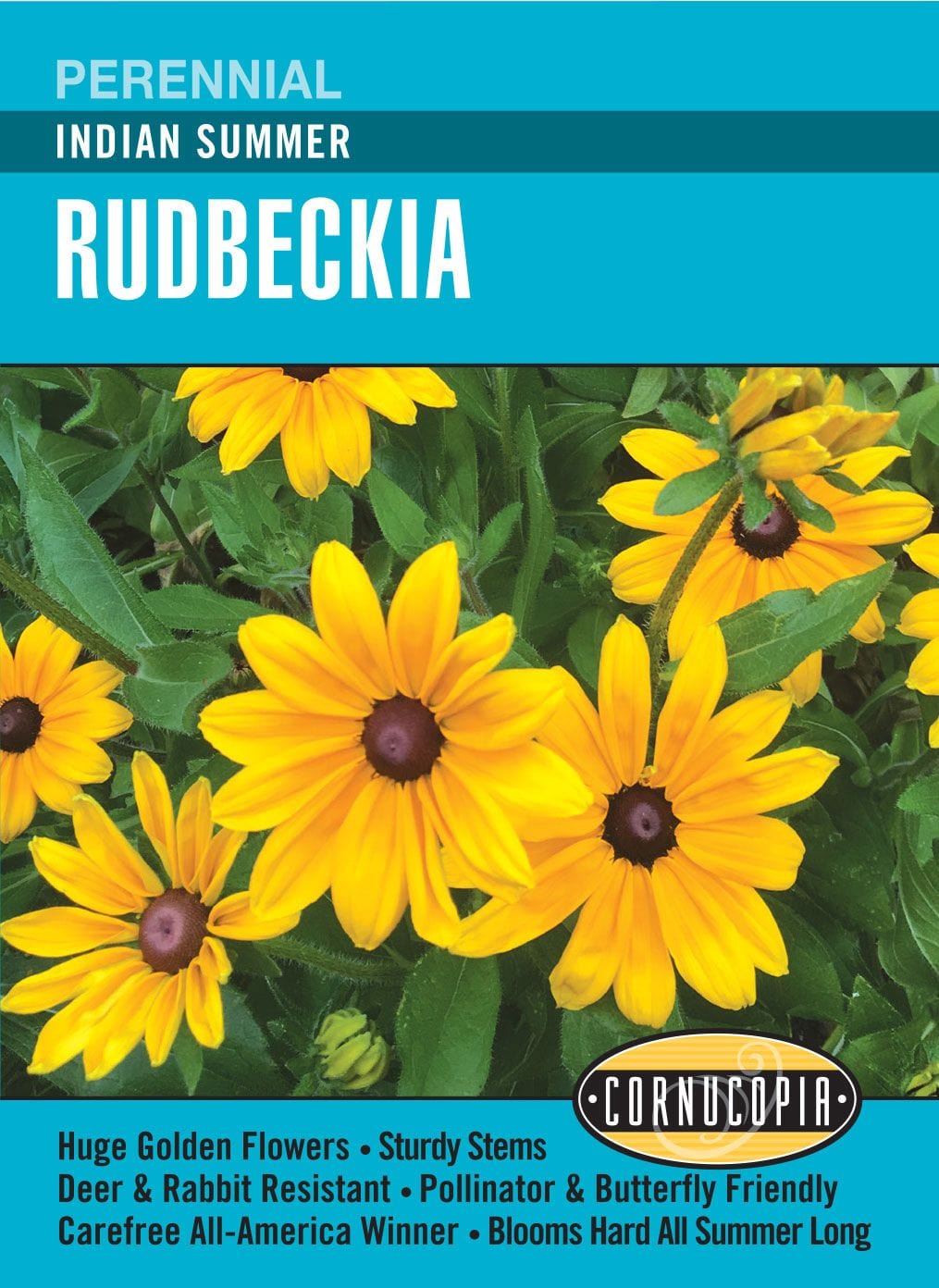 Rudbeckia Indian Summer - Cornucopia Seeds