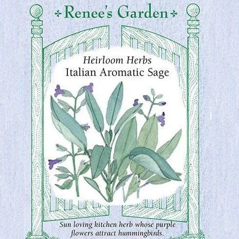 Sage Italian Aromatic - Renee's Garden Seeds