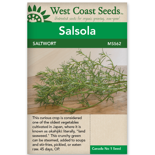 Salsola Saltwort - West Coast Seeds